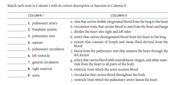 Match each term in Column I with its correct description or function in Column II.
COLUMNI
COLUMN II
a. vein that carries freshly oxygenated blood from the lung to the heart
b. circulation route that carries blood to and from the heart and lungs
c. divides the heart into right and left sides
1. pulmonary artery
2. lymphatic system
3. pulmonary vein
d. artery that carries deoxygenated blood from the heart to the lung
e. system that consists of lymph and tissue fluid derived from the
blood
4. septum
5. pulmonary circulation
f. blood from the pulmonary vein that reenters the heart through the
left atrium
6. left ventricle
7. general circulation
8. right ventricle
g. artery that carries blood with nourishment, oxygen, and other mate-
rials from the heart to all parts of the body
h. ventricle from which the aorta receives blood
i. circulation that carries blood throughout the body
j. ventricle from which the pulmonary artery leaves the heart
9. аorta
