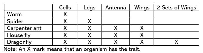 Cells
Legs
Antenna
Wings
2 Sets of Wings
Worm
Spider
Carpenter ant
House fly
Dragonfly
Note: An X mark means that an organism has the trait.
X
X
X
X
X
X
