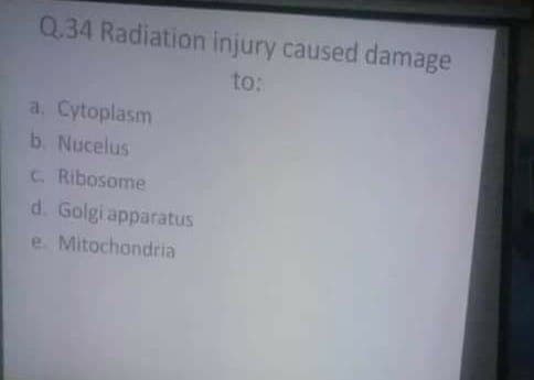 Q.34 Radiation injury caused damage
to:
a. Cytoplasm
b. Nucelus
C. Ribosome
d. Golgi apparatus
e. Mitochondria
