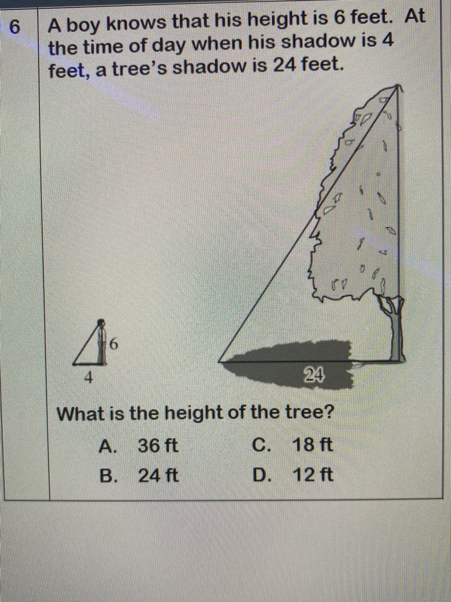 A boy knows that his height is 6 feet. At
the time of day when his shadow is 4
feet, a tree's shadow is 24 feet.
4
24
What is the height of the tree?
А. 36 ft
C. 18 ft
В. 24 ft
D. 12 ft
