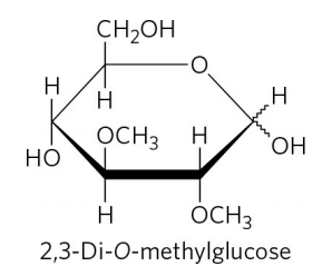 CH,OH
H
H
H
OCH3 H
ОН
Но
H
OCH3
2,3-Di-O-methylglucose
