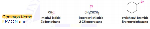Br
CH3I
CH,CHCH3
Common Name:
methyl iodide
Iodomethane
isopropyl chloride
2-Chloropropane
cyclohexyl bromide
Bromocyclohexane
IUPAC Name:
