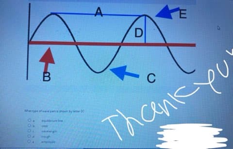 A.
D
C
What type of ave part shown by lemer D
equrium te
Thoank pu
Cre
wlengh
amplitude
00000
