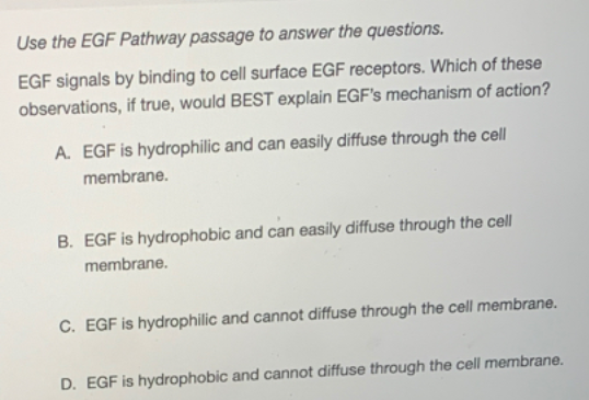 Use the EGF Pathway passage to answer the questions.
EGF signals by binding to cell surface EGF receptors. Which of these
observations, if true, would BEST explain EGF's mechanism of action?
A. EGF is hydrophilic and can easily diffuse through the cell
membrane.
B. EGF is hydrophobic and can easily diffuse through the cell
membrane.
C. EGF is hydrophilic and cannot diffuse through the cell membrane.
D. EGF is hydrophobic and cannot diffuse through the cell membrane.
