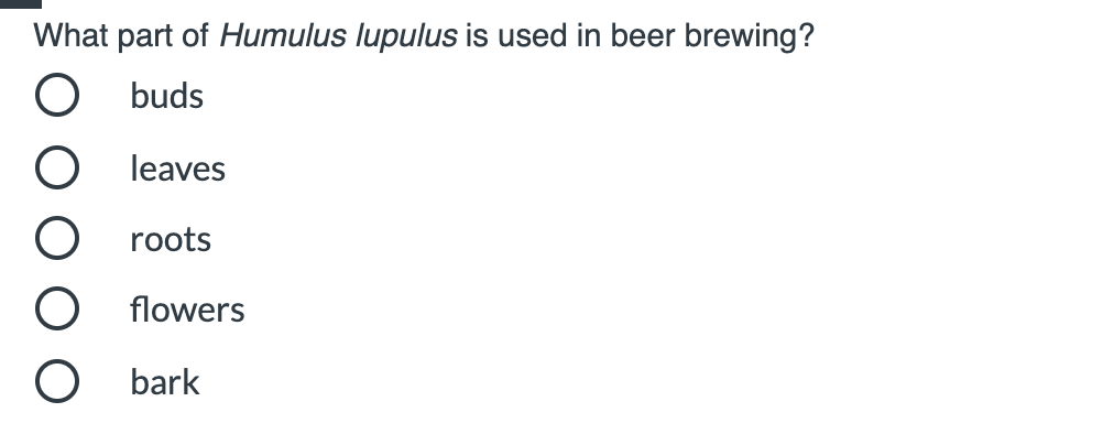 What part of Humulus lupulus is used in beer brewing?
buds
leaves
roots
flowers
bark
