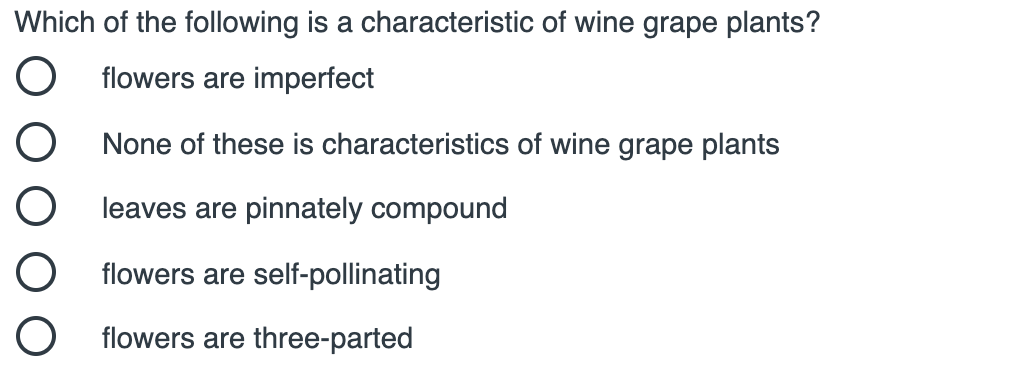 Which of the following is a characteristic of wine grape plants?
flowers are imperfect
None of these is characteristics of wine grape plants
leaves are pinnately compound
flowers are self-pollinating
O flowers are three-parted
