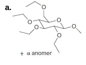 a.
+ a anomer
