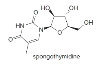 Но,
OH
Он
HN-
N'
spongothymidine
