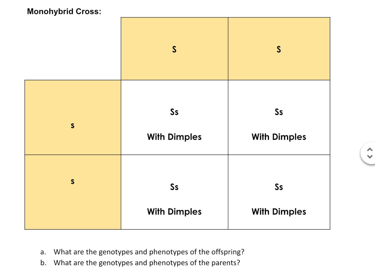 Monohybrid Cross:
Ss
Ss
S
With Dimples
With Dimples
S
Ss
Ss
With Dimples
With Dimples
а.
What are the genotypes and phenotypes of the offspring?
b. What are the genotypes and phenotypes of the parents?
< >
