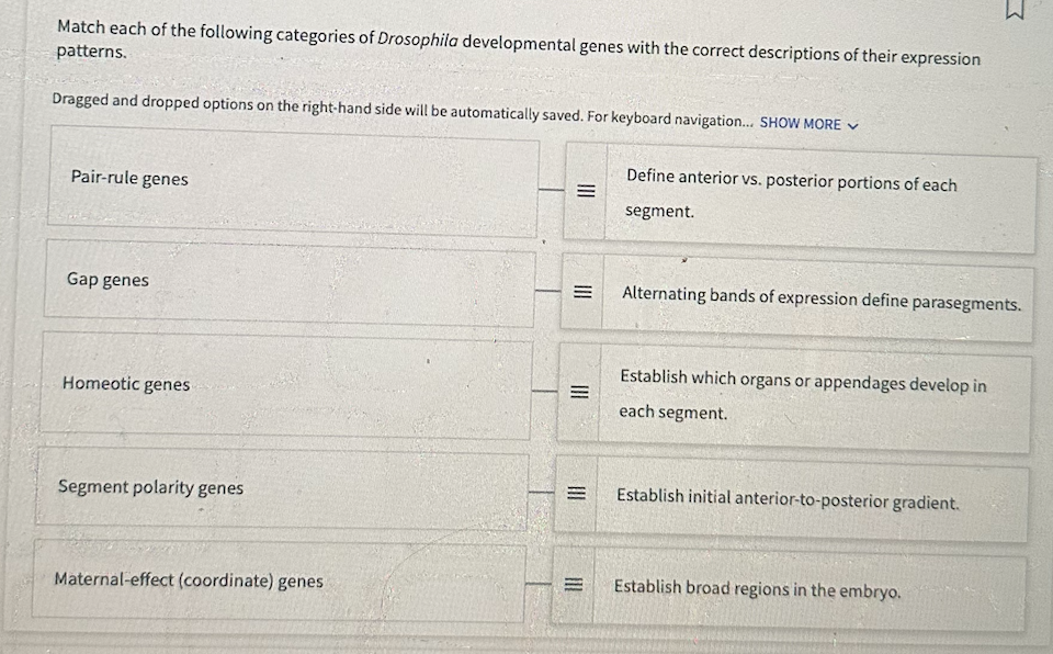 Match each of the following categories of Drosophila developmental genes with the correct descriptions of their expression
patterns.
Dragged and dropped options on the right-hand side will be automatically saved. For keyboard navigation... SHOW MORE
Pair-rule genes
Gap genes
Homeotic genes
Segment polarity genes
Maternal-effect (coordinate) genes
E
E
|||
|||
III
Define anterior vs. posterior portions of each
segment.
Alternating bands of expression define parasegments.
Establish which organs or appendages develop in
each segment.
Establish initial anterior-to-posterior gradient.
W
Establish broad regions in the embryo.