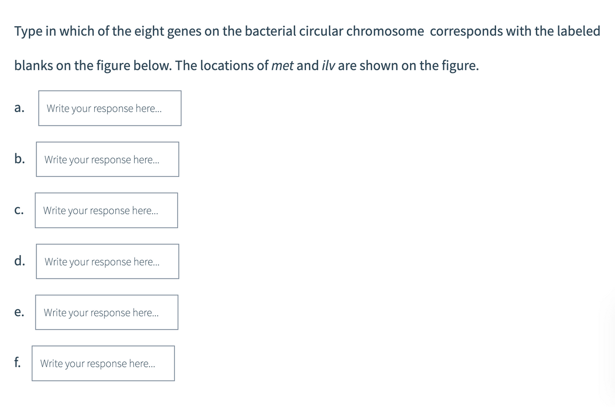 Type in which of the eight genes on the bacterial circular chromosome corresponds with the labeled
blanks on the figure below. The locations of met and ilv are shown on the figure.
a.
b.
C.
d.
e.
f.
Write your response here...
Write your response here...
Write your response here...
Write your response here...
Write your response here...
Write your response here...