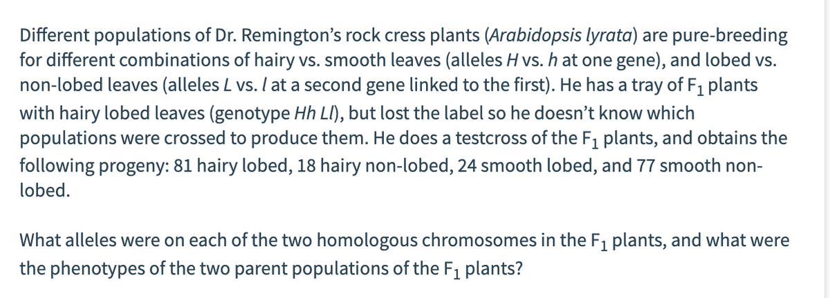 Different populations of Dr. Remington's rock cress plants (Arabidopsis lyrata) are pure-breeding
for different combinations of hairy vs. smooth leaves (alleles H vs. h at one gene), and lobed vs.
non-lobed leaves (alleles L vs. I at a second gene linked to the first). He has a tray of F₁ plants
with hairy lobed leaves (genotype Hh Ll), but lost the label so he doesn't know which
populations were crossed to produce them. He does a testcross of the F₁ plants, and obtains the
following progeny: 81 hairy lobed, 18 hairy non-lobed, 24 smooth lobed, and 77 smooth non-
lobed.
What alleles were on each of the two homologous chromosomes in the F₁ plants, and what were
the phenotypes of the two parent populations of the F₁ plants?
