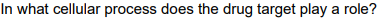 In what cellular process does the drug target play a role?
