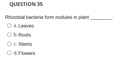 QUESTION 35
Rhizobial bacteria form nodules in plant
O a. Leaves
b. Roots
O c. Stems
O d. Flowers