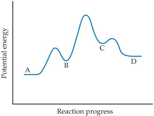 C
D
В
A
Reaction progress
Potential energy
