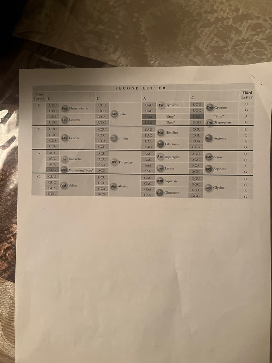 SECOND LETTER
First
Letter U
C
A
G
Third
Letter
U
UUU
UCU
UAU
Tyr Tyrosine
UGU
U
Phe Phenylalanine
Cys Cysteine
UUC
UCC
UAC
UGC
G
Ser Serine
UUA
UCA
UAA
"Stop"
UGA
"Stop"
A
Leu Leucine
UUG
UCG
UAG
"Stop"
UGG
Trp Tryptophan
G
C
CUU
CCU
CAU
CGU
U
His Histidine
CUC
CCC
CAC
CGC
C
Leu Leucine
Pro Proline
Arg Arginine
CUA
CCA
CAA
CGA
A
Gin Glutamine
CUG
CCG
CAG
CGG
G
A
AUU
ACU
AAU
AGU
U
AUC
lle Isoleucine
ACC
AAC
Asn Asparagine
Ser Serine
AGC
C
Thr Threonine
AUA
ACA
AAA
AGA
A
AUG
Met Methionine; "Start"
Lys Lysine
ACG
AAG
Arg Arginine
AGG
G
G
GUU
GCU
GAU
GGU
GUC
GCC
Asp Aspartate
U
GAC
GGC
Val Valine
Ala Alanine
C
GUA
GCA
GAA
GGA
Gly Glycine
A
GUG
Glu Glutamate
GCG
GAG
GGG
G