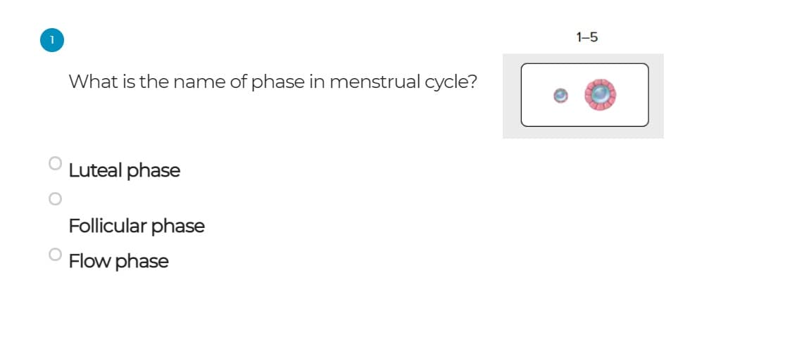 1-5
What is the name of phase in menstrual cycle?
Luteal phase
Follicular phase
Flow phase
