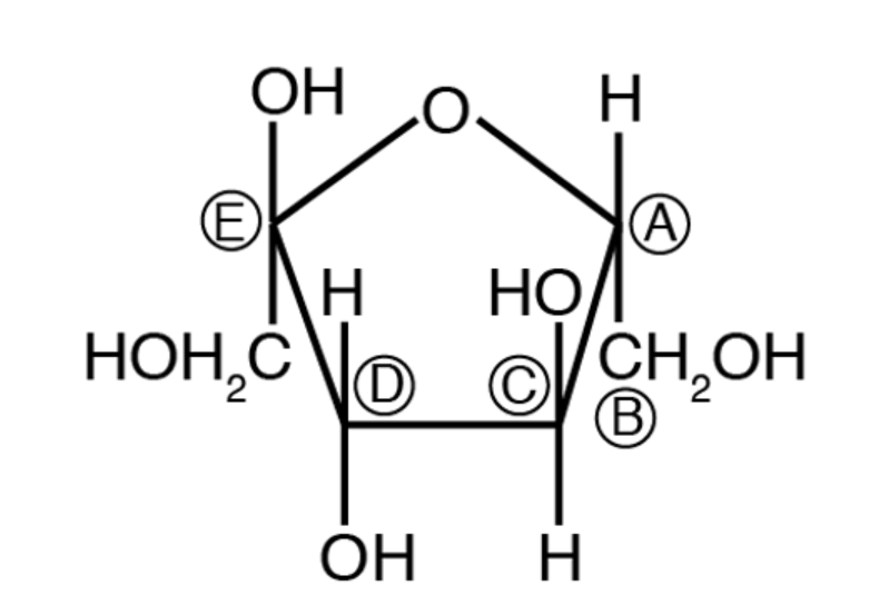 ОН
E)
(A)
HỌ
CH,OH
H.
HOH,C O
(D)
B
ОН
H.
