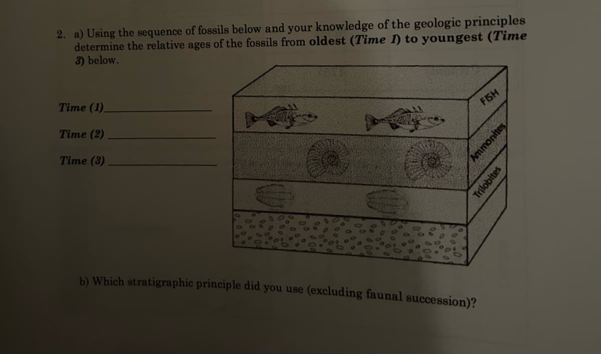 2. a) Using the sequence of fossils below and your knowledge of the geologic principles
determine the relative ages of the fossils from oldest (Time 1) to youngest (Time
3) below.
Time (1)
Time (2)
Time (3)
b) Which stratigraphic principle did you use (excluding faunal succession)?
FISH
Ammonites
Trilobites