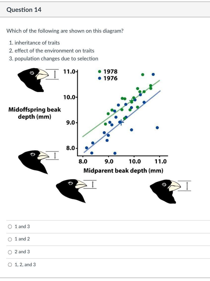 Question 14
Which of the following are shown on this diagram?
1. inheritance of traits
2. effect of the environment on traits
3. population changes due to selection
• 1978
• 1976
11.0-
10.0-
Midoffspring beak
depth (mm)
9.0-
8.0-
8.0
9.0
10.0
11.0
Midparent beak depth (mm)
O 1 and 3
O 1 and 2
2 and 3
O 1, 2, and 3
