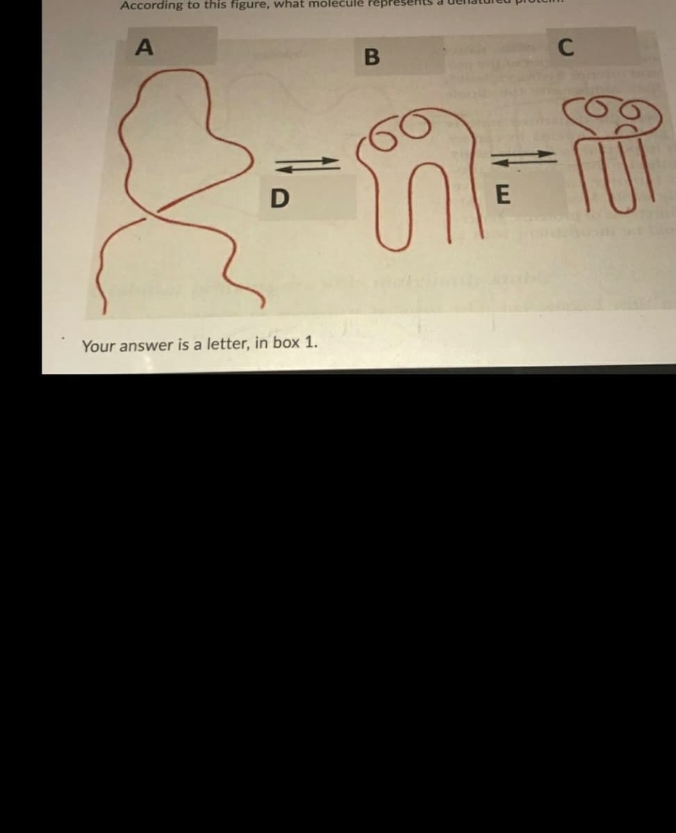 According to this figure, what molecule repr
Your answer is a letter, in box 1.
