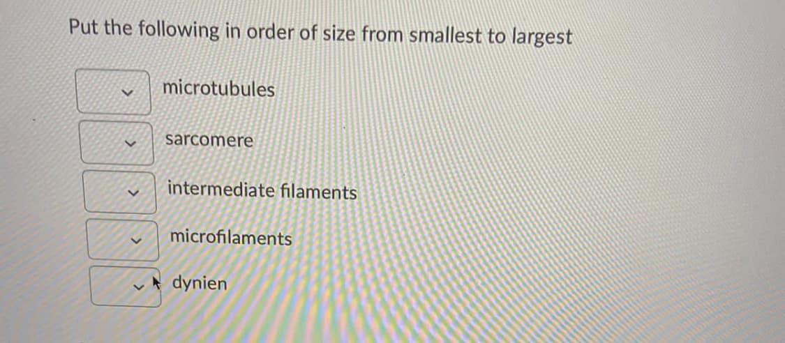 Put the following in order of size from smallest to largest
microtubules
sarcomere
intermediate filaments
microfilaments
dynien
