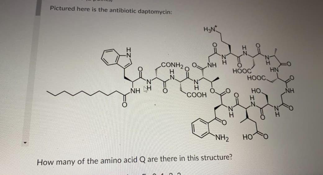 Pictured here is the antibiotic daptomycin:
H3N
CONH2
NH
HN
НООС
HOOC,
NH H
H.
СООН
HO.
HN
H.
NH2
HO
How many of the amino acid Q are there in this structure?
