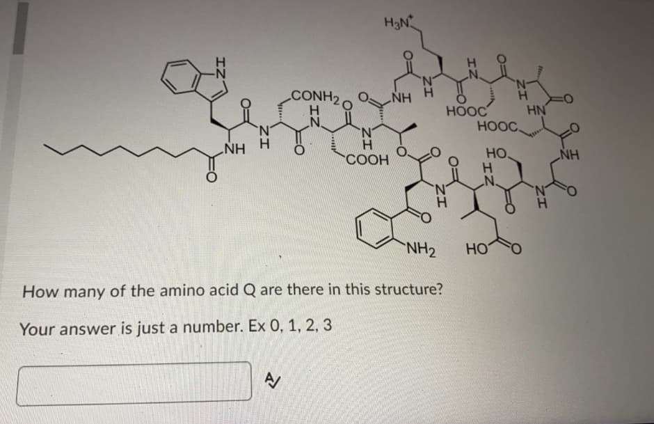 H3N
'N'
'N-
CONH20
HN
HN
НООС
HOOC.
.N.
'N'
N.
NH
H.
COOH
HO.
NH
N.
NH2
HO
How many of the amino acid Q are there in this structure?
Your answer is just a number. Ex 0, 1, 2, 3
IZ

