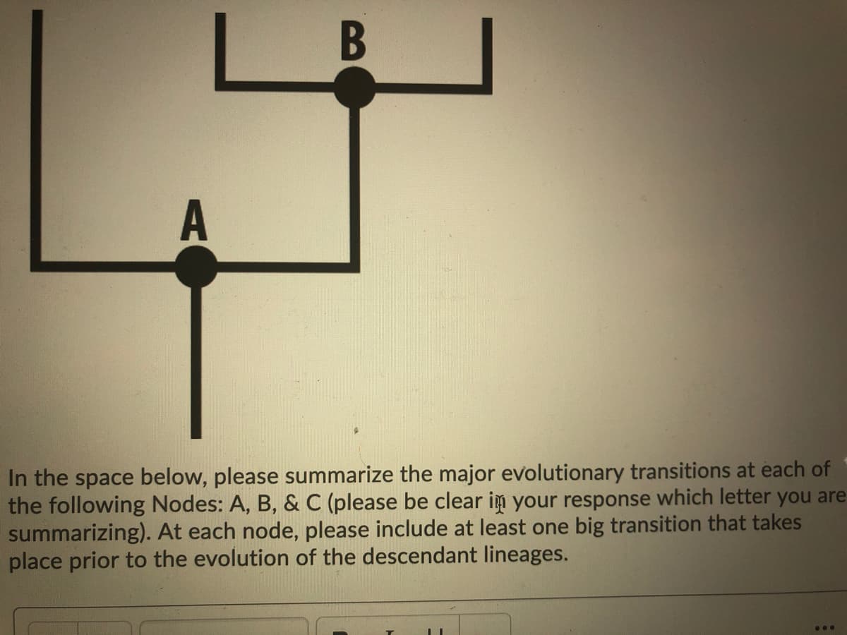 В
In the space below, please summarize the major evolutionary transitions at each of
the following Nodes: A, B, & C (please be clear in your response which letter you are
summarizing). At each node, please include at least one big transition that takes
place prior to the evolution of the descendant lineages.
