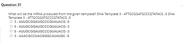 Question 31
What will be the MRNA produced from the given template? DNA Template 3 - ATTGCGGATGCCCGTATACG -5 DNA
Template 3 - ATTGCGGATGCCCGTATACG -5
O 3- AUUGCGGAUGCCCGUAUACG -5
O 5- AUUGCGGAUGCCCGUAUACG -3
O 5 - AUUGCGGAUGCCCGUAUACG -3
O 3- UAACGCCUACGGGCAUAUGC -5
