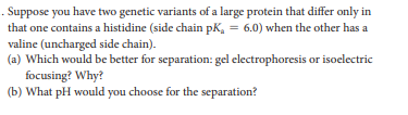 . Suppose you have two genetic variants of a large protein that differ only in
that one contains a histidine (side chain pk, = 6.0) when the other has a
valine (uncharged side chain).
(a) Which would be better for separation: gel electrophoresis or isoelectric
focusing? Why?
(b) What pH would you choose for the separation?
