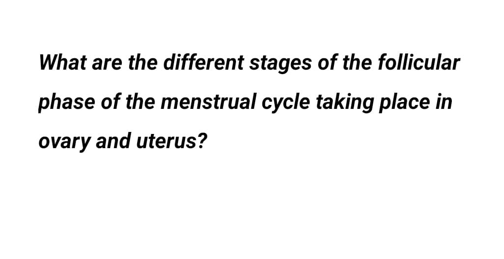 What are the different stages of the follicular
phase of the menstrual cycle taking place in
ovary and uterus?
