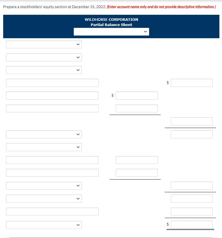Prepare a stockholders' equity section at December 31, 2022. (Enter account name only and do not provide descriptive information.)
WILDHORSE CORPORATION
Partial Balance Sheet
$
$
>
>
>
>
>
>
