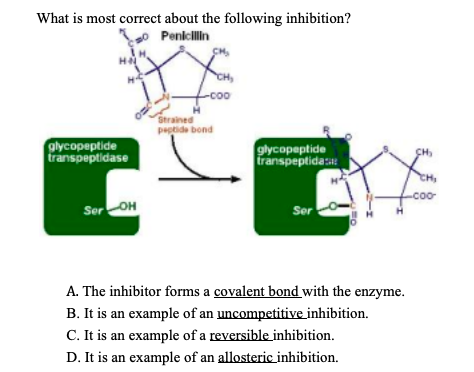 What is most correct about the following inhibition?
50 Penicillin
IH.
H₂
glycopeptide
| transpuptidase
Ser OH
CM₂
coo
Strained
peptide bond
glycopeptide
transpeptida
Ser
H
A. The inhibitor forms a covalent bond with the enzyme.
B. It is an example of an uncompetitive inhibition.
C. It is an example of a reversible inhibition.
D. It is an example of an allosteric inhibition.
CH₂
CH₂
-coo-
