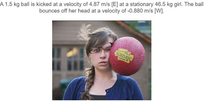 A 1.5 kg ball is kicked at a velocity of 4.87 m/s [E] at a stationary 46.5 kg girl. The ball
bounces off her head at a velocity of -0.880 m/s [W].
ACTION BALL
