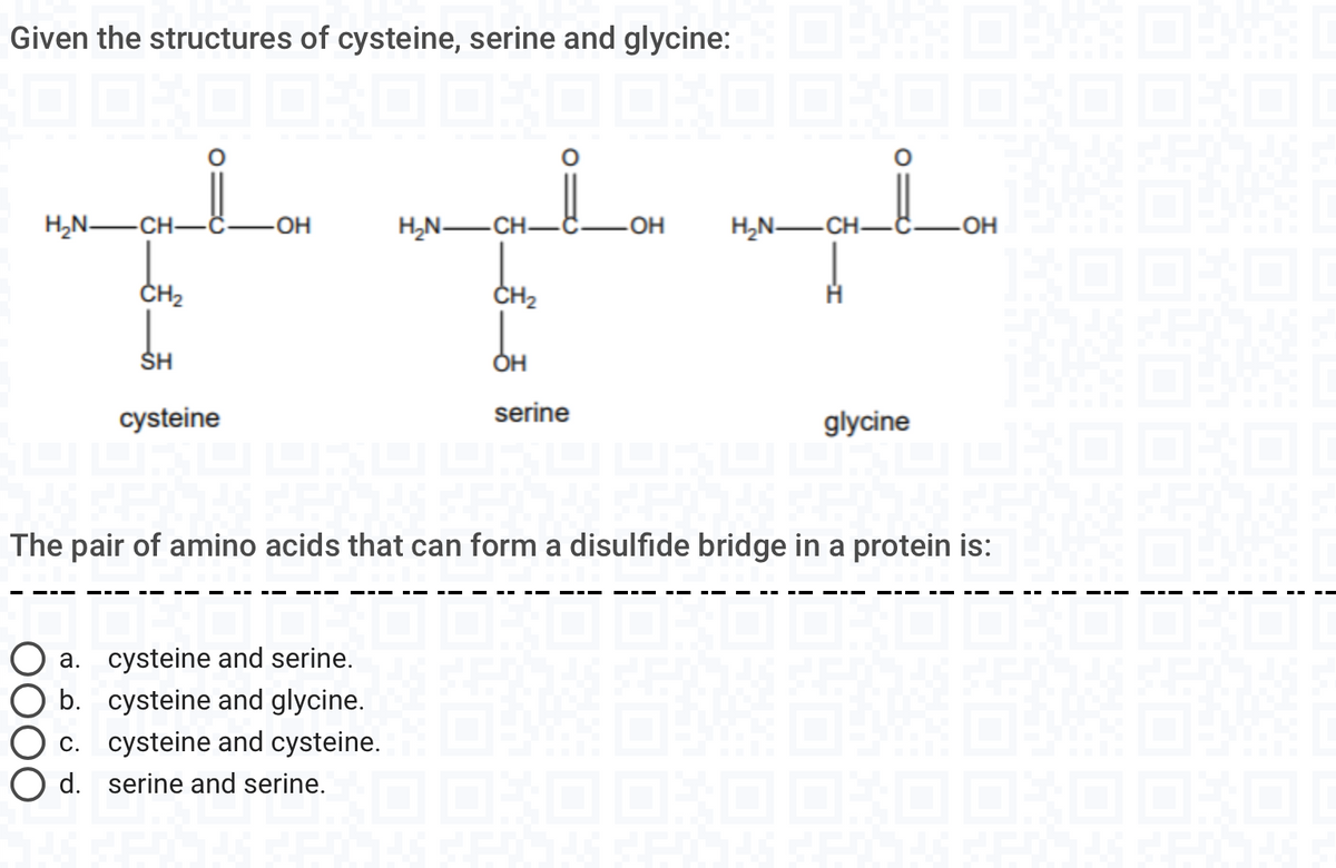 Given the structures of cysteine, serine and glycine:
H,N-CH-
-OH
H,N-CH-
-OH
H,N-CH-
-OH
ČH2
CH2
SH
cysteine
serine
glycine
The pair of amino acids that can form a disulfide bridge in a protein is:
a. cysteine and serine.
b. cysteine and glycine.
c. cysteine and cysteine.
O d. serine and serine.

