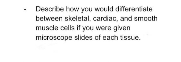 Describe how you would differentiate
between skeletal, cardiac, and smooth
muscle cells if you were given
microscope slides of each tissue.

