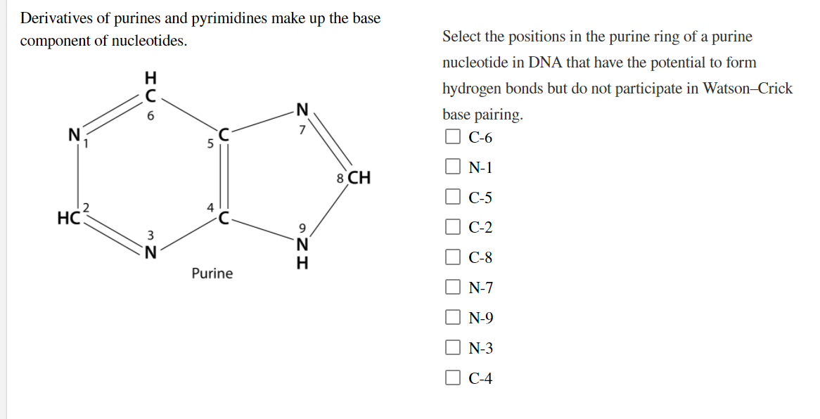 Derivatives of purines and pyrimidines make up the base
component of nucleotides.
Select the positions in the purine ring of a purine
nucleotide in DNA that have the potential to form
H.
hydrogen bonds but do not participate in Watson–Crick
6
base pairing.
N
С-6
N-1
8 CH
C-5
12
HC
4
9
С-2
N.
H
С-8
Purine
N-7
N-9
N-3
O C-4
O O
