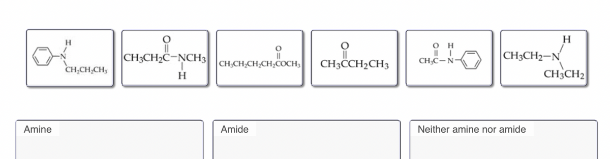 H.
H
он
CHE-N CH;CH;-N
CH3CH2
CH3CH2C-ŅCH3
CH3CCH2CH3
CH,CH,CH,CH;COCH3
CH;C-N
CH,CH,CH3
H.
Amine
Amide
Neither amine nor amide
