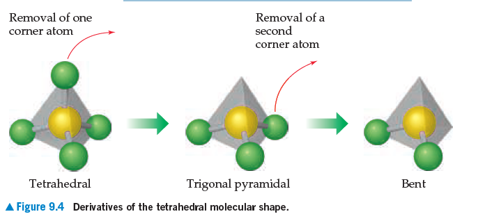 Removal of one
Removal of a
second
corner atom
corner atom
Trigonal pyramidal
Tetrahedral
Bent
A Figure 9.4 Derivatives of the tetrahedral molecular shape.
