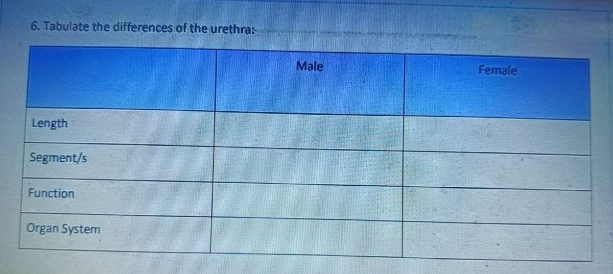 6. Tabulate the differences of the urethra:
Length
Segment/s
Function
Organ System
Male
Female