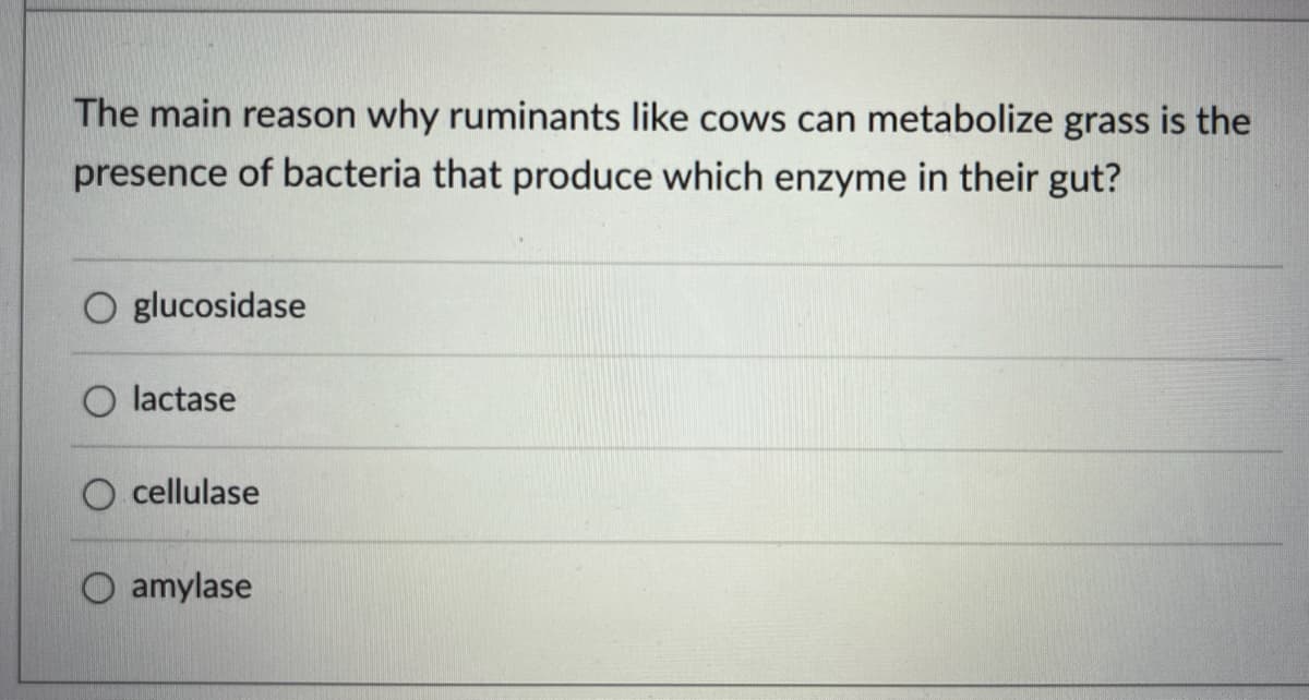 The main reason why ruminants like cows can metabolize grass is the
presence of bacteria that produce which enzyme in their gut?
O glucosidase
lactase
O cellulase
amylase