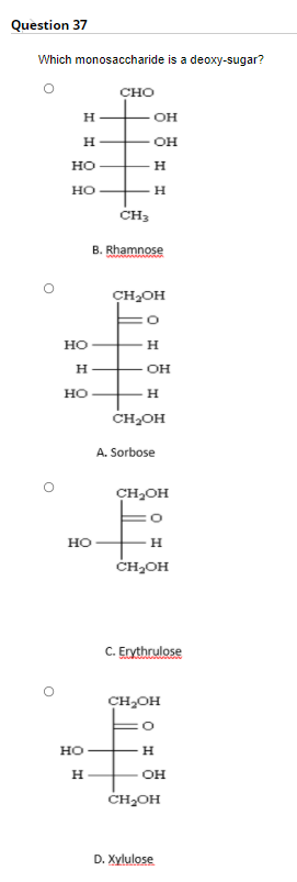 Question 37
Which monosaccharide is a deoxy-sugar?
Сно
H
OH
он
но
Но
CH3
В. Rhamnose
CH2OH
Но
H
OH
Но
H
CH2OH
А. Sorbose
CH2OH
но
н
CH,OH
с. Еvthrulose
HOʻHS
но
н
он
CH,OH
D. Xylulose
