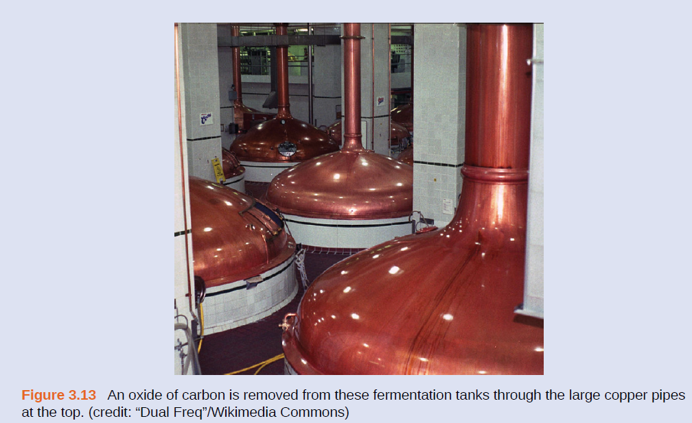 Figure 3.13 An oxide of carbon is removed from these fermentation tanks through the large copper pipes
at the top. (credit: “Dual Freq"/Wikimedia Commons)
