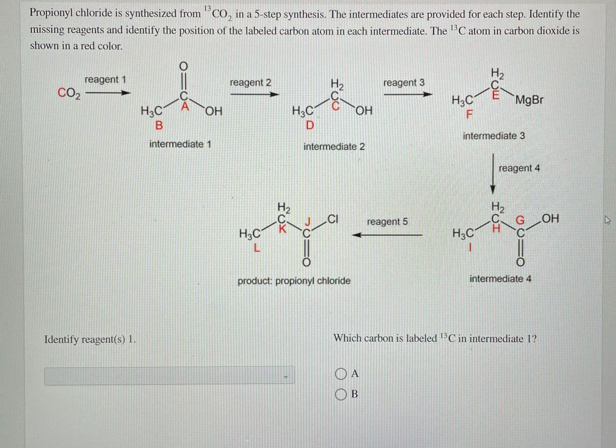 13
Propionyl chloride is synthesized from "CO, in a 5-step synthesis. The intermediates are provided for each step. Identify the
missing reagents and identify the position of the labeled carbon atom in each intermediate. The C atom in carbon dioxide is
13
shown in a red color.
H2
reagent 1
CO2
H2
reagent 2
reagent 3
.C
A
H3C
MgBr
H3C
HO.
H;C
intermediate 3
intermediate 1
intermediate 2
reagent 4
H2
H2
.CI
reagent 5
K
H3C
H;C
C.
product: propionyl chloride
intermediate 4
Identify reagent(s) 1.
Which carbon is labeled 13C in intermediate 1?
O A
O B
fox
