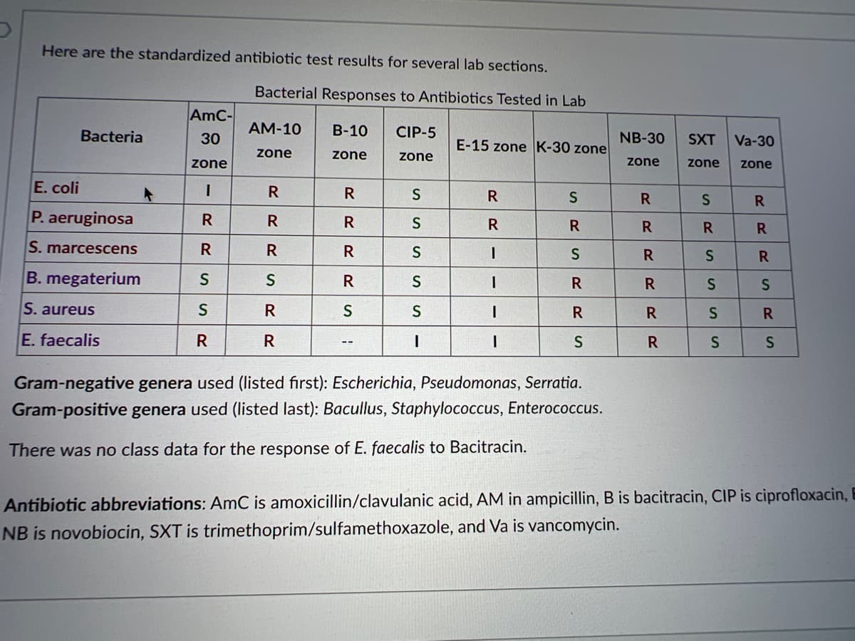 Here are the standardized antibiotic test results for several lab sections.
Bacterial Responses to Antibiotics Tested in Lab
AmC-
Bacteria
30
AM-10
B-10
CIP-5
NB-30
E-15 zoneK-30 zone
SXT
Va-30
zone
zone
zone
zone
zone
zone
zone
E. coli
R
R
R
R
P. aeruginosa
R
S
R
R
S. marcescens
R
R
R
B. megaterium
S
S
R
S. aureus
R
R
E. faecalis
R
R
--
Gram-negative genera used (listed first): Escherichia, Pseudomonas, Serratia.
Gram-positive genera used (listed last): Bacullus, Staphylococcus, Enterococcus.
There was no class data for the response of E. faecalis to Bacitracin.
Antibiotic abbreviations: AmC is amoxicillin/clavulanic acid, AM in ampicillin, B is bacitracin, CIP is ciprofloxacin,
NB is novobiocin, SXT is trimethoprim/sulfamethoxazole, and Va is vancomycin.
RRSDR
SRS RRS
RRR
