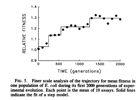 RELATIVE FITNESS
1.4
1.3
1.2
1.1
1.0
0.9
500
TIME (generations)
1000
1500
2000
FIG. 5. Finer scale analysis of the trajectory for mean fitness in
one population of E. coli during its first 2000 generations of exper-
imental evolution. Each point is the mean of 10 assays. Solid lines
indicate the fit of a step model.