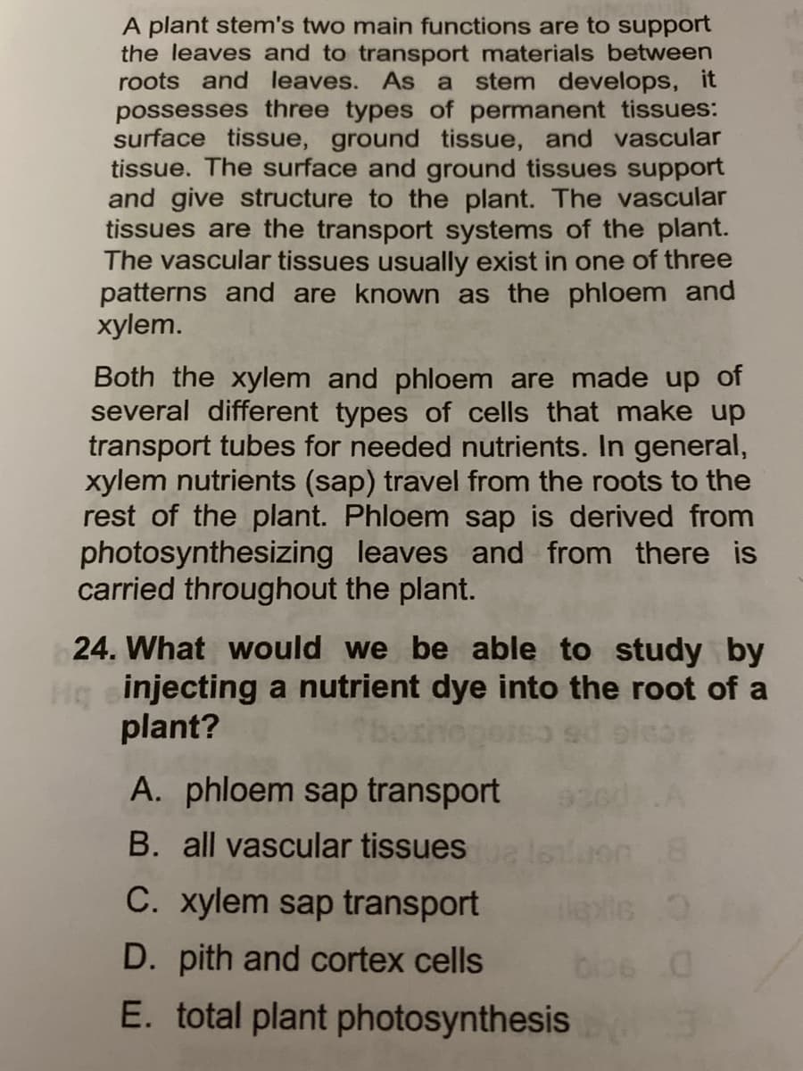 A plant stem's two main functions are to support
the leaves and to transport materials between
roots and leaves. As
a stem develops, it
possesses three types of permanent tissues:
surface tissue, ground tissue, and vascular
tissue. The surface and ground tissues support
and give structure to the plant. The vascular
tissues are the transport systems of the plant.
The vascular tissues usually exist in one of three
patterns and are known as the phloem and
xylem.
Both the xylem and phloem are made up of
several different types of cells that make up
transport tubes for needed nutrients. In general,
xylem nutrients (sap) travel from the roots to the
rest of the plant. Phloem sap is derived from
photosynthesizing leaves and from there is
carried throughout the plant.
24. What would we be able to study by
Hg einjecting a nutrient dye into the root of a
plant?
A. phloem sap transport
B. all vascular tissues
C. xylem sap transport
D. pith and cortex cells
bio6 0
E. total plant photosynthesis
