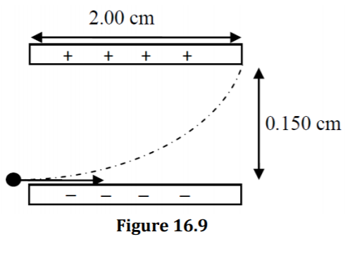 2.00 cm
+ + + +
|0.150 cm
Figure 16.9
