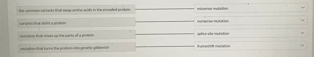 the common variants that swap amino acids in the encoded protein
variants that stunt a protein
mutation that mixes up the parts of a protein
mutation that turns the protein into genetic gibberish
missense mutation
nonsense mutation
splice site mutation
frameshift mutation
<
>